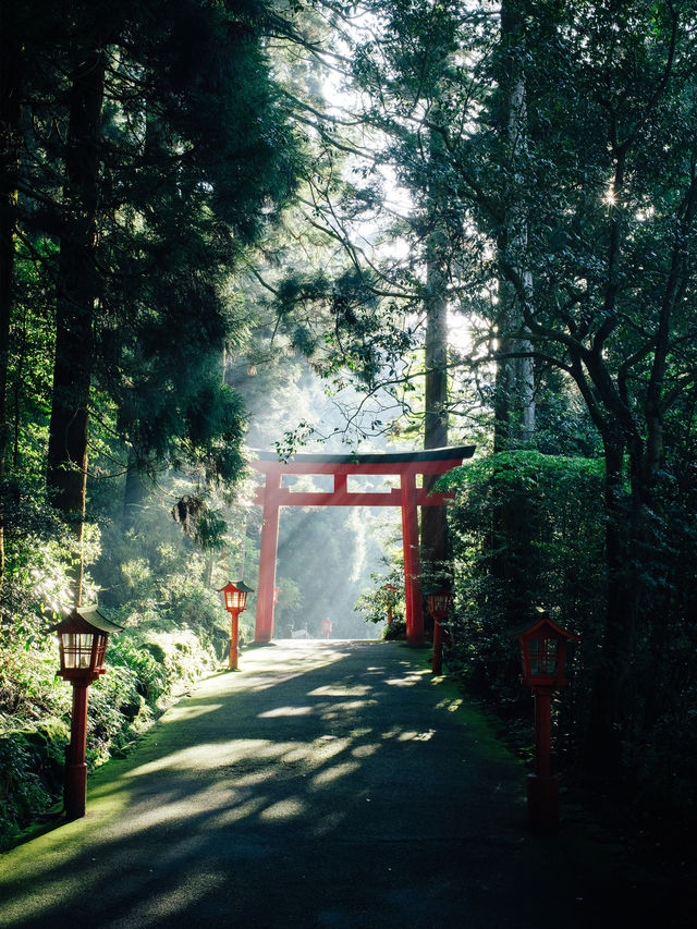 ⛰️ 箱根2泊3日の旅