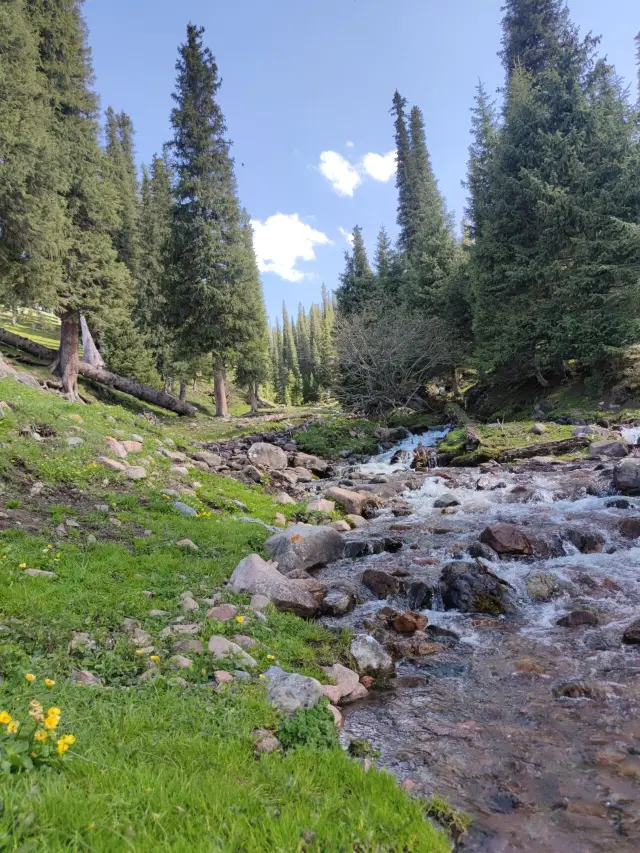 The Xinjiang self-driving tour guide is out~