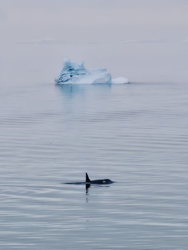 18張圖告訴你為什麼南極是旅行者的終極夢想