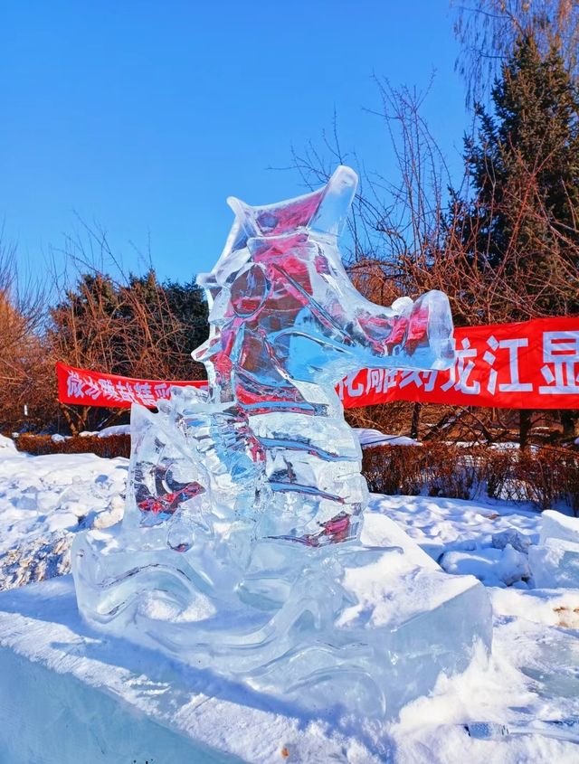 哈爾濱小眾打卡地:在森林中尋找童話城堡