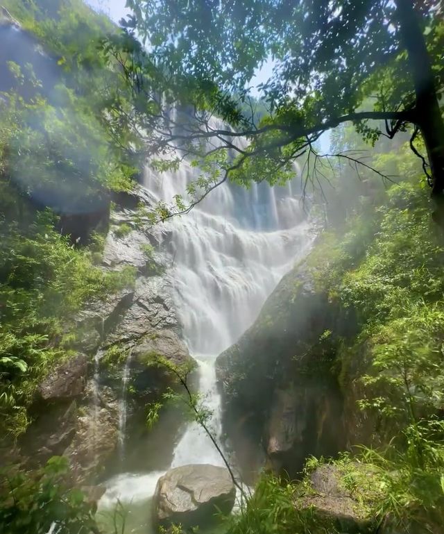 太壯觀了!!廣州藏了一個亞洲最寬的大瀑布