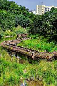 依山傍水的簕杜鹃谷公園真的很姜