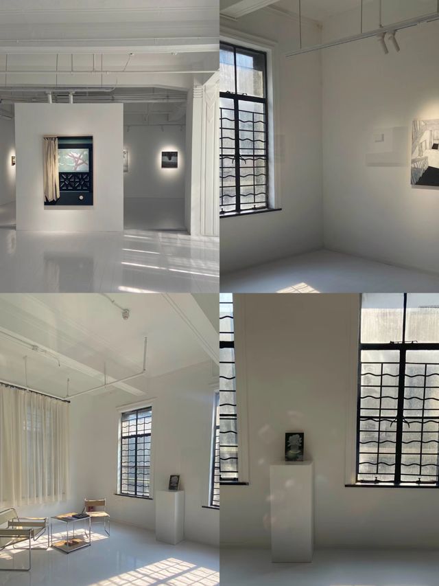 上海免費展|一場對話·與光與影與坦培拉