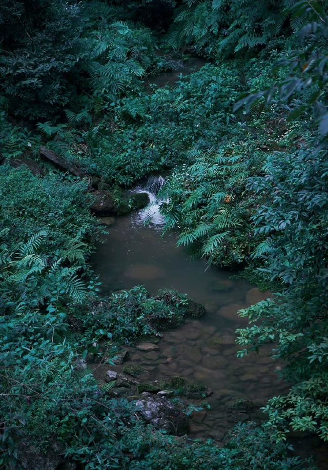 宜昌旅遊