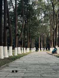 德陽｜石刻公園異域風格好好拍