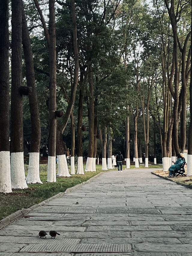 德陽｜石刻公園異域風格好好拍