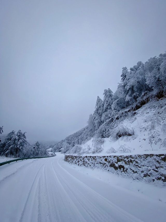 重慶巫溪紅池壩｜遠離喧囂與嘈雜的水墨雪景