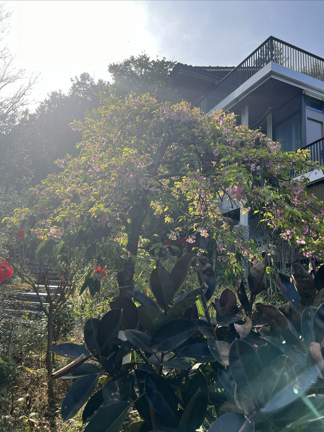 漳州｜雲水謠景區內世外桃源般的酒店～