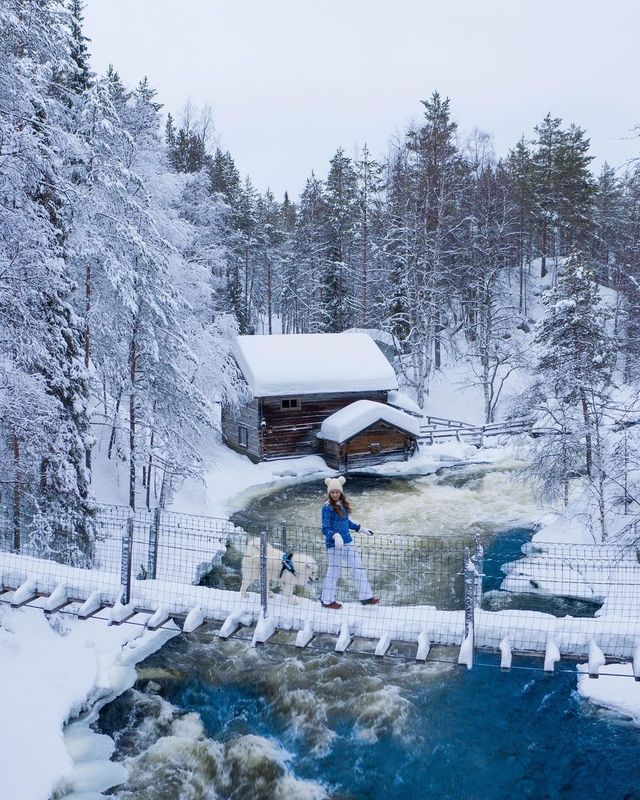 Felix in Finland 🇫🇮✨ Which photo is your favorite? ❤️