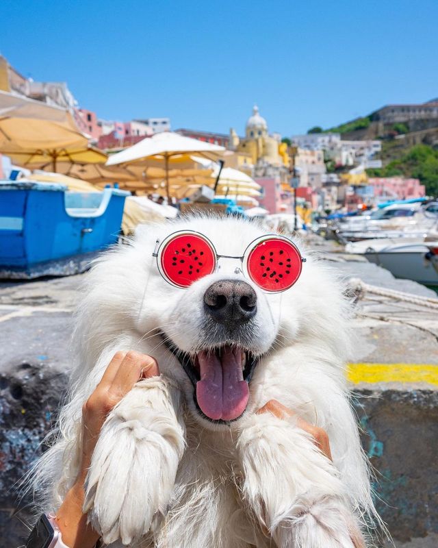 🇮🇹❤️ Best of Procida, Italy: A kaleidoscope of colors awaits! 😍