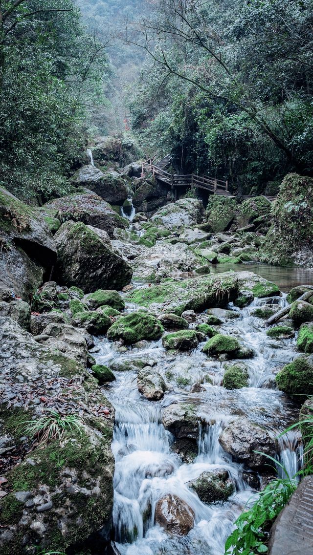 徒步達人必看：青城山後山省錢小技巧