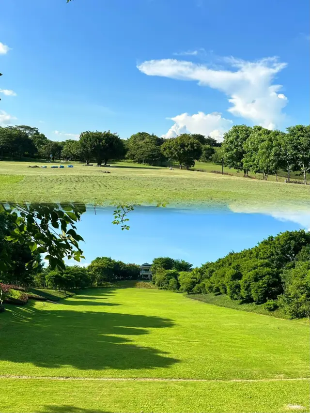 深圳！！不用錢！！城市中心公園天花板