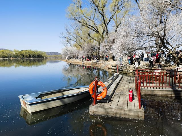 你是否感受過滿園春色皇家園林？