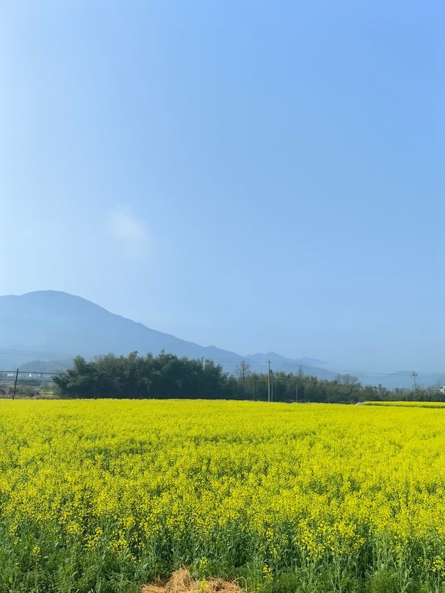 登春日之山，感受皖南春季的山水之美