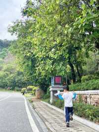 徒步賞花誤入佛山小京都 ｜展旗峰生態公園｜廣州周邊親子遊