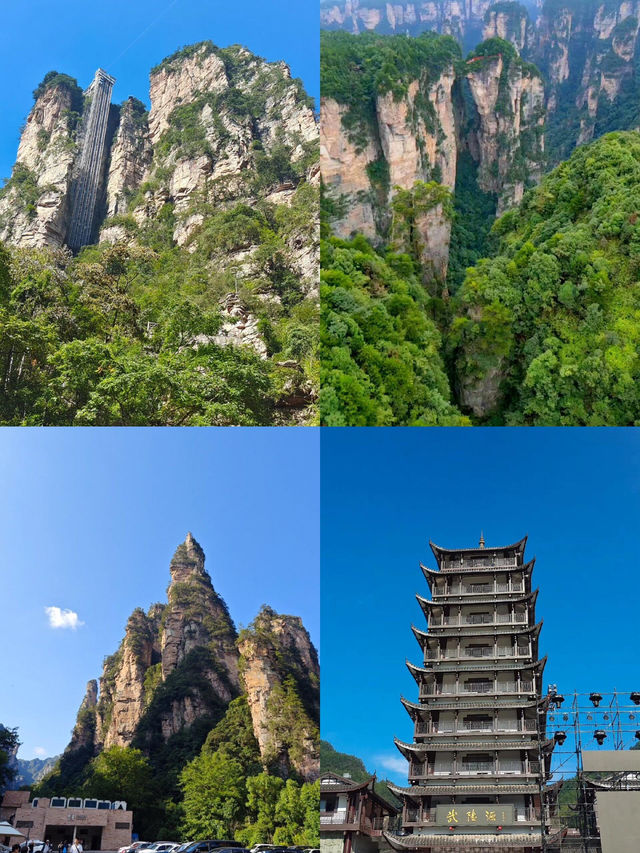 五一帶娃旅遊，張家界深度旅遊攻略