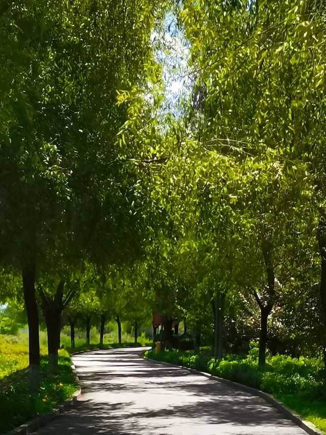 吉林省通化市梅河口長白山植物園