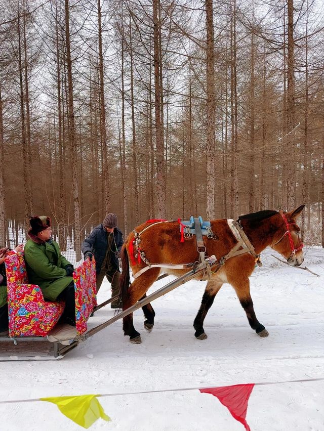 沈陽周邊玉龍溪大峽谷風景區|超級好玩的雪圈