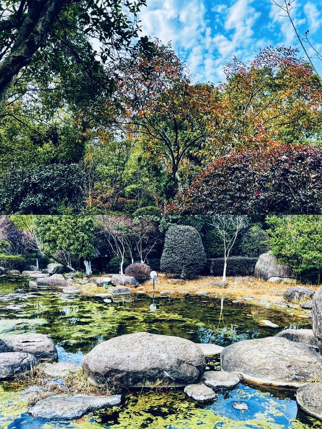 一個浪漫年輕時尚的市民公園｜湘府文化公園