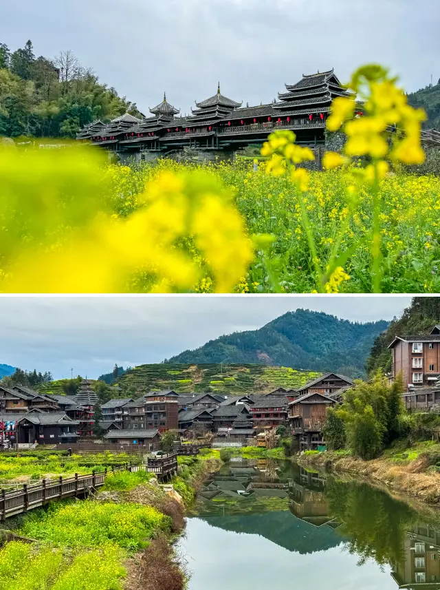 A spontaneous spring outing to Sanjiang, Guangxi, just to embrace the spring