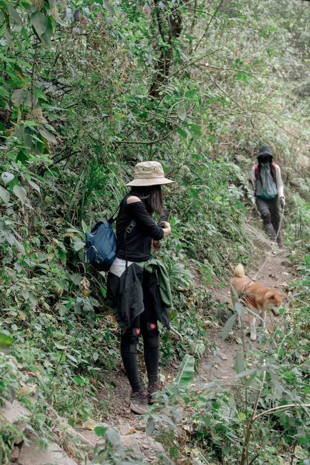 哀牢山小眾地徒步路線指南