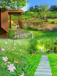 親子共度美好時光，盡在西麗生態公園