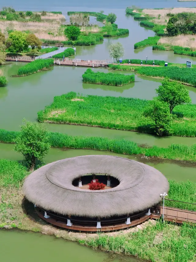 杭州周辺、100回行っても飽きない宝物のような湿地公園！