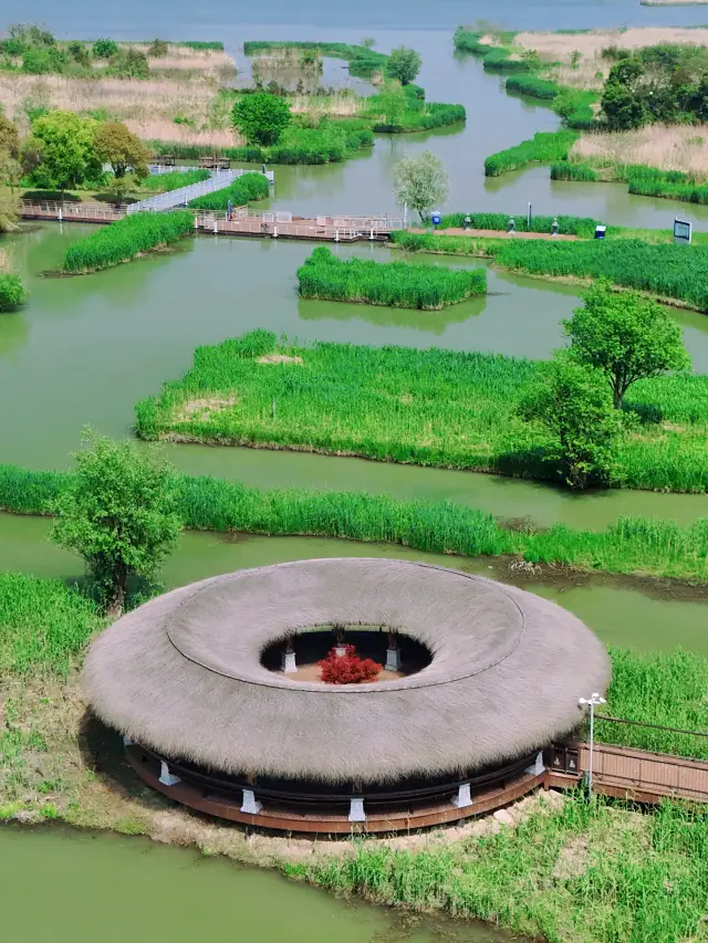 The treasure wetland park around Hangzhou that you'll never tire of, even after a hundred visits!