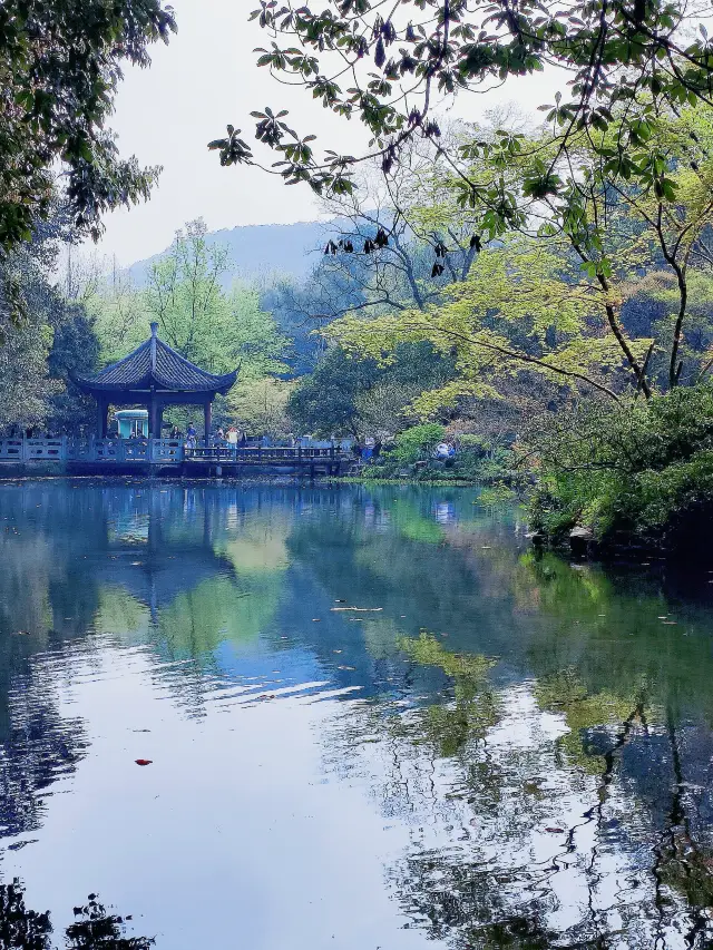 Hangzhou/People who enjoy hiking cannot resist the charm of the Nine Creeks and Eighteen Gullies