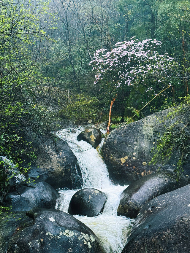 長沙出發2小時，去見山見水見自己