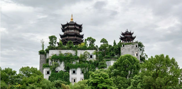 浙江旅遊｜龍天紅木小鎮，很出片