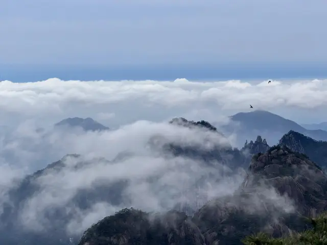 แผนการท่องเที่ยวภูเขาหวงซาน 3 วัน 2 คืนที่สมบูรณ์แบบ