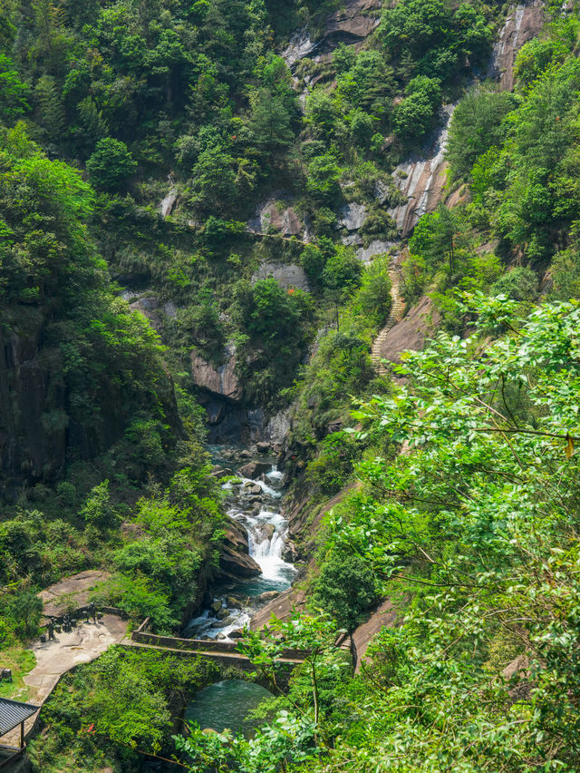 這不是新疆是麗水天然小眾徒步登山氧吧