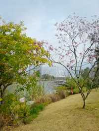 周末踏青賞花，那就來福州這個最大的綜合性公園吧！