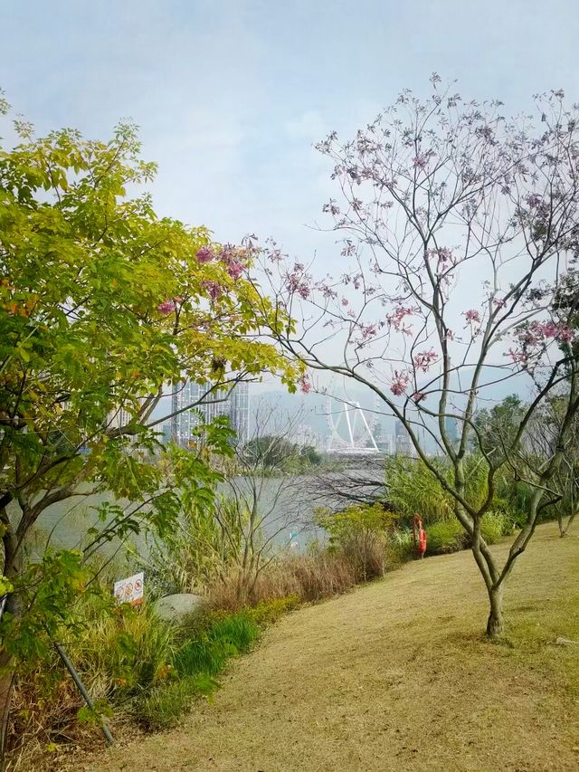 周末踏青賞花，那就來福州這個最大的綜合性公園吧！