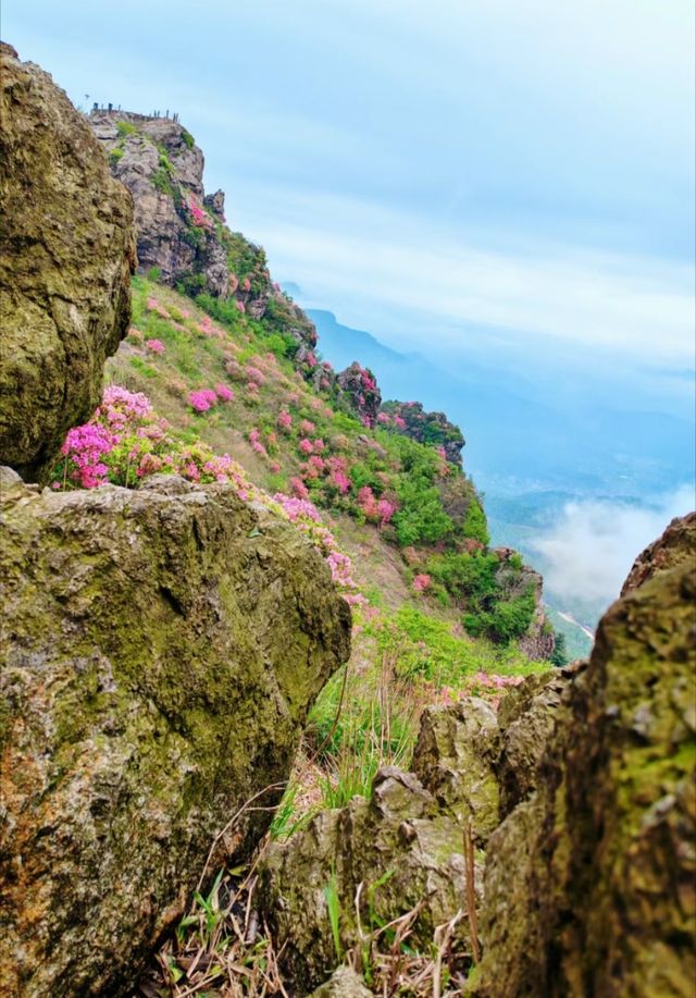 既然去不了江西「武功山」的話倒不如去屬於安徽人體質的三公山