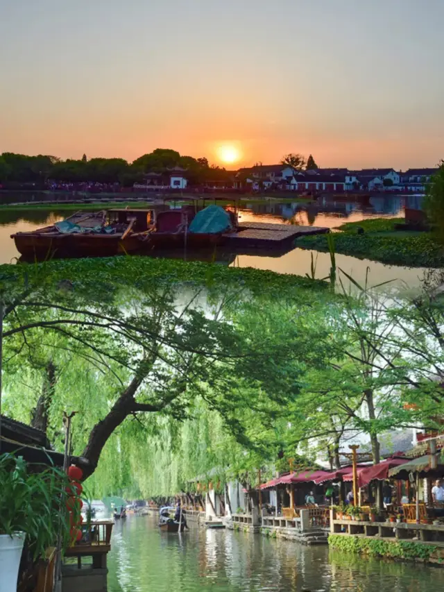 Zhouzhuang Spring Outing, so beautiful it captivates the heart