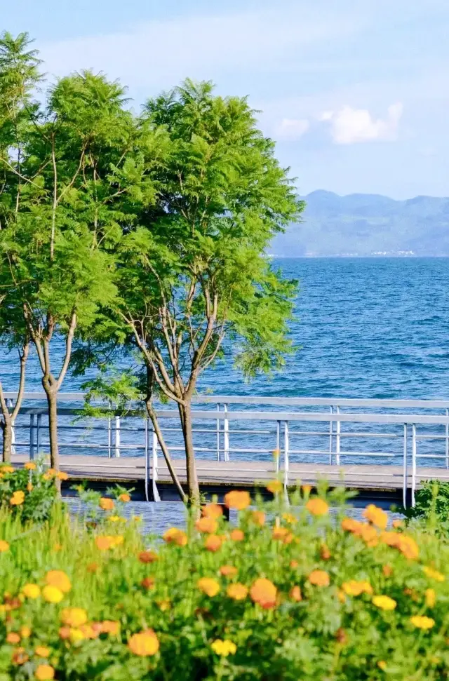 I thought Erhai Lake was already beautiful, until I visited this place
