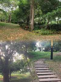 徐聞人民公園最全攻略