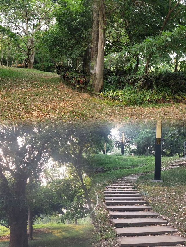 徐聞人民公園最全攻略 徐聞人民公園最全攻略