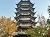 安徽蚌埠張公山公園‖蚌埠必打卡景點之一