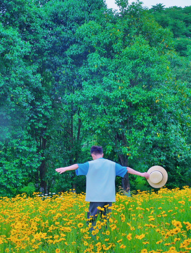 成都！地鐵直達的免費花海！！也太浪漫了