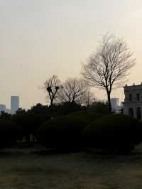 夏日遊玩｜海邊的濕地公園，徒步納涼都不錯