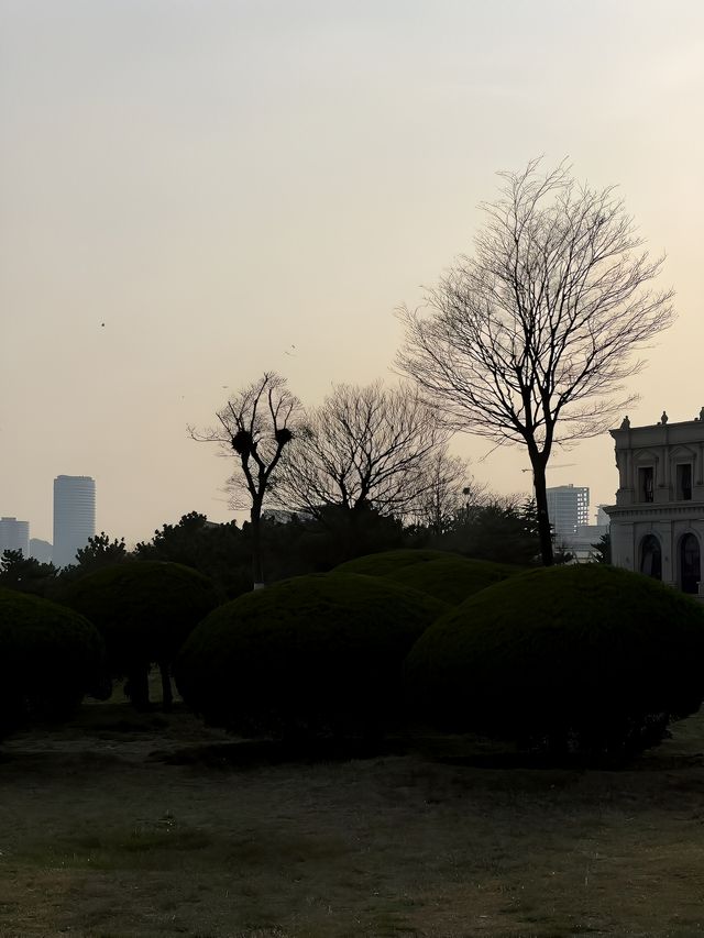 夏日遊玩｜海邊的濕地公園，徒步納涼都不錯