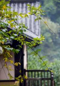 好絕的地方，第1家竟在山坡上、有升降床！