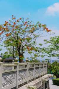 這座小眾園林竟然是婚姻登記處，實在太浪漫了