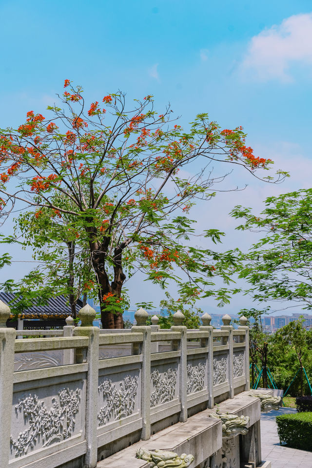 這座小眾園林竟然是婚姻登記處，實在太浪漫了