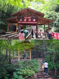 洛陽周邊避暑聖地～王府竹海