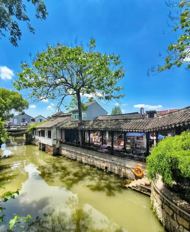 Shanghai's free hidden gem, a little-known ancient town, can't stay low-key anymore!