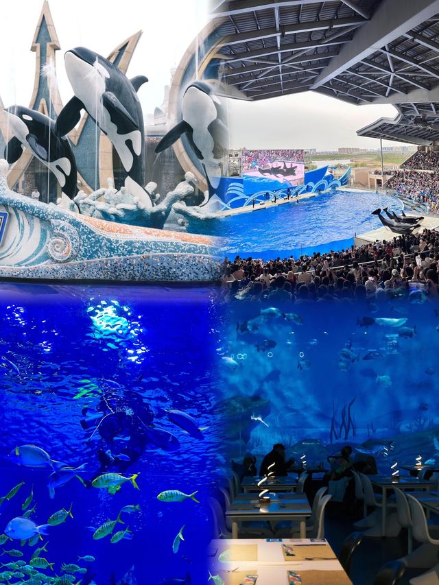 「上海海昌海洋公園」～遛娃聖地！！！